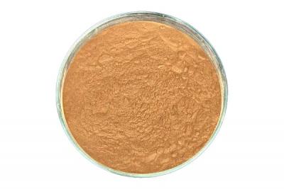 咖啡糊精在食品工业中的应用有哪些？